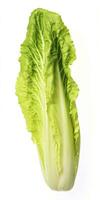 AI generated Lettuce isolated on white background. AI Generated photo