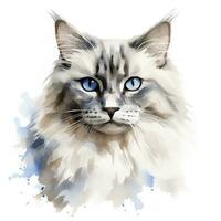 AI generated Watercolor cat clip art on white background. AI Generated photo