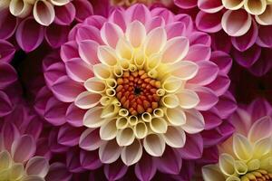 AI generated Dahlia flower background.  AI Generated. photo