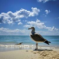 AI generated Seagull on the beach under blue sky. photo