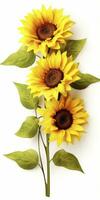 AI generated Sunflowers isolated on white background. AI Generated photo