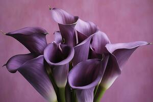 AI generated Bouquet of purple calla lilies against purple background.AI Generated photo