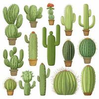 ai generado el cactus conjunto en blanco antecedentes. clipart ilustraciones. ai generado foto