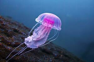 AI generated Mauve stinger purple jellyfish. AI Generated. photo