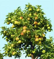 ai generado un hermosa verde manzana árbol. ai generado foto