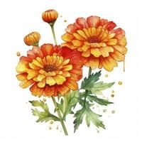 AI generated Watercolor autumn marigold flowers with raindrops on white background. AI Generated photo