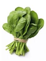 AI generated Bunch of spinach isolated on white background. AI Generated photo