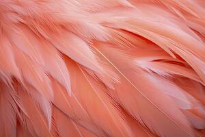 AI generated Flamingo Feather background. AI Generated photo