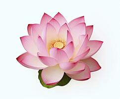 AI generated Lotus flower on white background. AI Generated photo