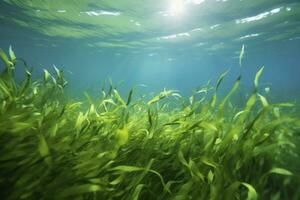 AI generated Underwater view of a group of seabed with green seagrass. AI Generated photo