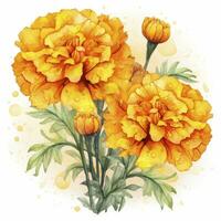 AI generated Watercolor autumn marigold flowers with raindrops on white background. AI Generated photo