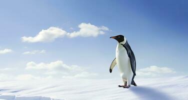 AI generated Penguin standing in Antarctica looking into the blue sky. AI Generated photo