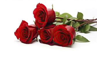 AI generated Red rose bouquet isolated on white background. AI Generated photo