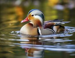 ai generado de cerca de mandarín Pato nadando en lago. generativo ai. foto