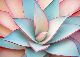 AI generated Agave leaves in trendy pastel colors for design backgrounds. AI Generated photo