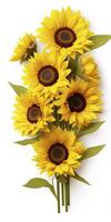 AI generated Sunflowers isolated on white background. AI Generated photo