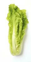 AI generated Lettuce isolated on white background. AI Generated photo