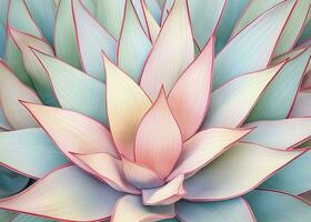 AI generated Agave leaves in trendy pastel colors for design backgrounds. AI Generated photo