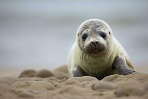 AI generated Harbor seal cub. AI Generated photo