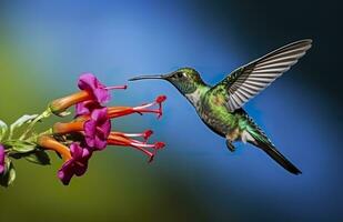 AI generated Hummingbird bird flying next to a beautiful red flower with rain. AI Generated photo