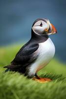 AI generated Puffin bird on a green grass patch. AI Generated photo