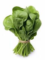 AI generated Bunch of spinach isolated on white background. AI Generated photo