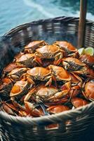 AI generated A basket filled with crabs near a serene body of water photo