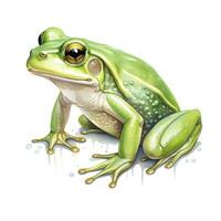 AI generated Watercolor green frog on white background.  AI Generated photo