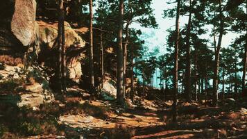 A rocky hillside with trees and a body of water in the distance video