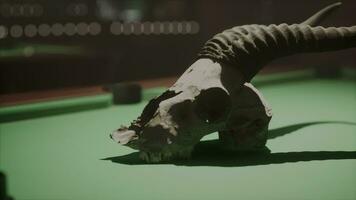 An animal skull on a pool table video