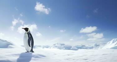 AI generated Penguin standing in Antarctica looking into the blue sky. AI Generated photo