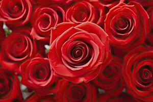 AI generated Red Rose Background for Valentine's Day. AI Generated photo