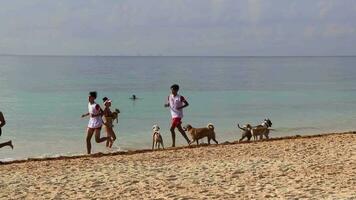 playa del carmen quintana roo mexico 2023 tropical caribe playa deportista corredor persona que practica jogging playa del carmen México. video
