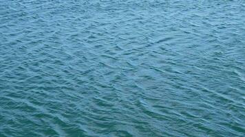 Water surface with small waves and current from wind. video