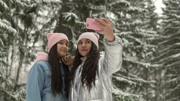 deux magnifique Jeune copines dans hiver vêtements prise selfie contre le Contexte de le hiver forêt en utilisant une téléphone intelligent et souriant. 4k video