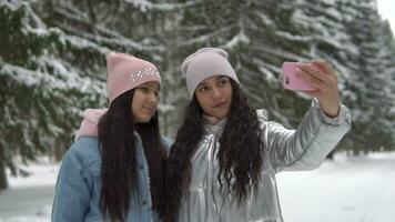 dos hermosa novias hacer selfie utilizando un teléfono inteligente mientras en pie en el invierno bosque. lento movimiento video