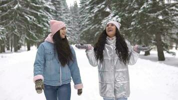 två skön flick promenad i de trän i vinter- video