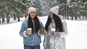 Two young beautiful girlfriends are walking through the winter forest holding glasses of coffee in hand video