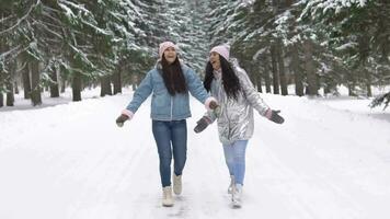 Two beautiful young girlfriends walk in the woods in the winter with a good mood. slow motion video
