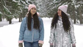 dos hermosa joven novias caminar en el bosque en el invierno con un bueno humor. lento movimiento hd video