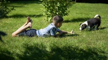 wenig attraktiv Junge Theaterstücke mit ein klein Hund im das Park auf das Gras haben ein gut Stimmung während das Tag im sonnig Wetter. schleppend Bewegung. hd video