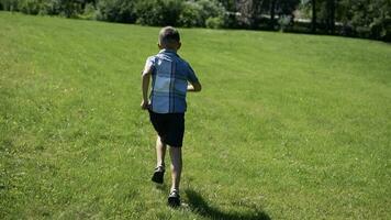 little boy runs along the grass in the park having a good mood. slow motion video