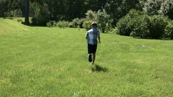 aantrekkelijk weinig jongen loopt langs de gras in de park hebben een mooi zo humeur. langzaam beweging video