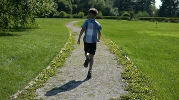 un' piccolo ragazzo corre lungo il erba nel il parco avendo un' bene umore nel soleggiato tempo atmosferico. lento movimento. video