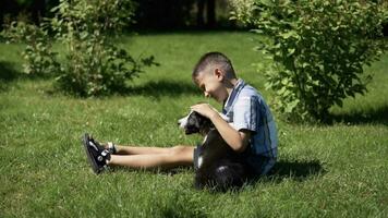 weinig knap weinig jongen is spelen met een hond in een park. langzaam mot. video