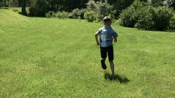 attractive little boy runs along the grass in the park having a good mood in the summer. slow motion video