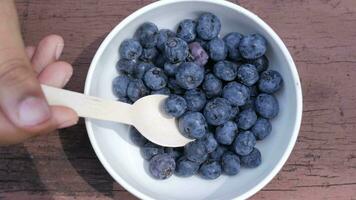 spoon pick fresh blue berry video
