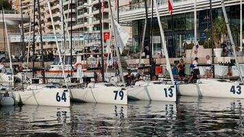 Monaco, Monte Carlo, 18 October 2022 - A lot of sailing boats are moored in new Yacht Club at the world championship of J70 class, port Hercules, sunny weather, water reflection video