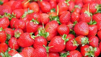 Ripe Red Strawberries in a bowl video