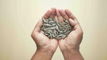 top view of sunflower seeds on hand video